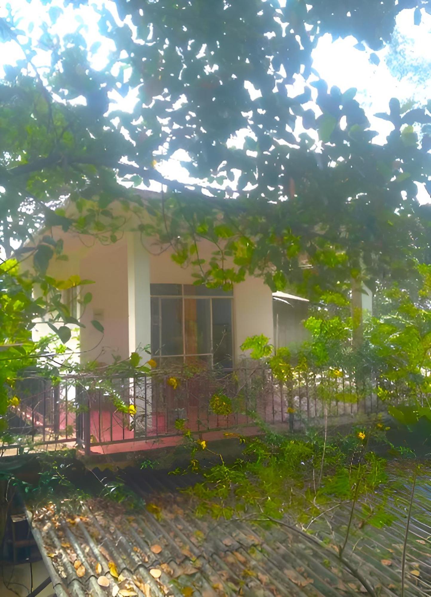 Senehas Homestay Ella Bagian luar foto